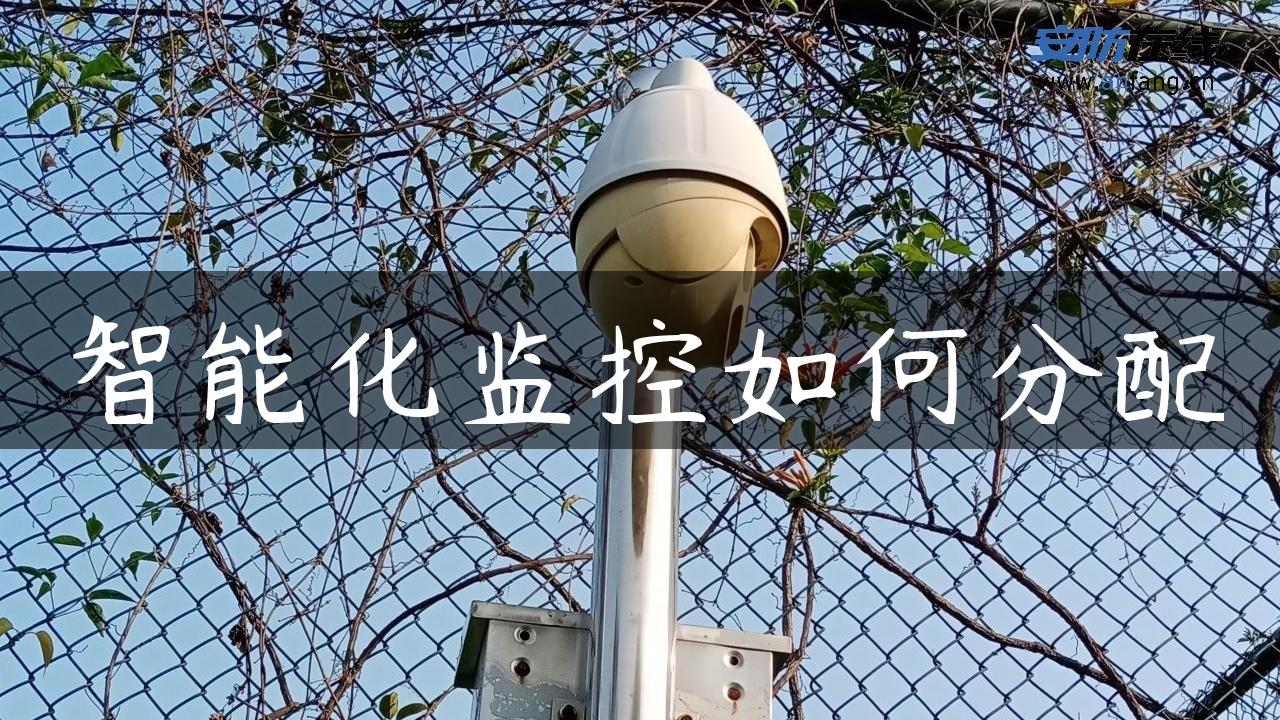 智能化监控如何分配 智能化监控如何分配