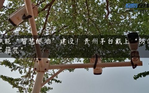 赋能“智慧酿酒”建设！贵州茅台戴上“防伪紧箍咒”