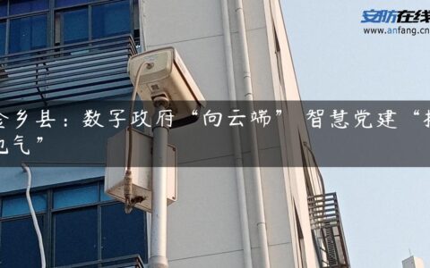 金乡县：数字政府“向云端” 智慧党建“接地气”
