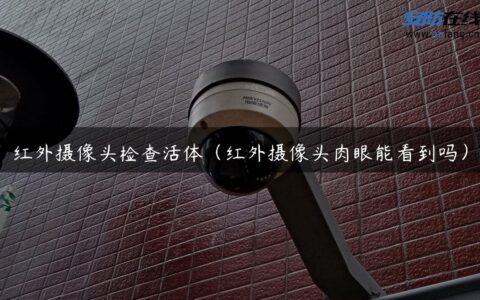 红外摄像头检查活体（红外摄像头肉眼能看到吗）