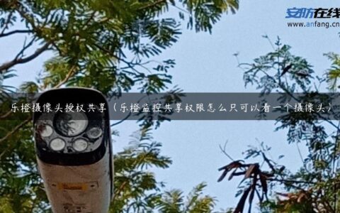 乐橙摄像头授权共享（乐橙监控共享权限怎么只可以看一个摄像头）