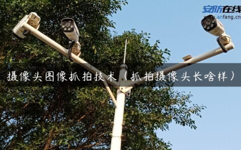 摄像头图像抓拍技术（抓拍摄像头长啥样）
