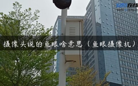 摄像头说的鱼眼啥意思（鱼眼摄像机）