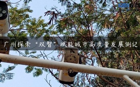 广州探索“双智”赋能城市高质量发展侧记