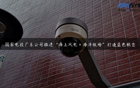 国家电投广东公司推进“海上风电＋海洋牧场”打造蓝色粮仓