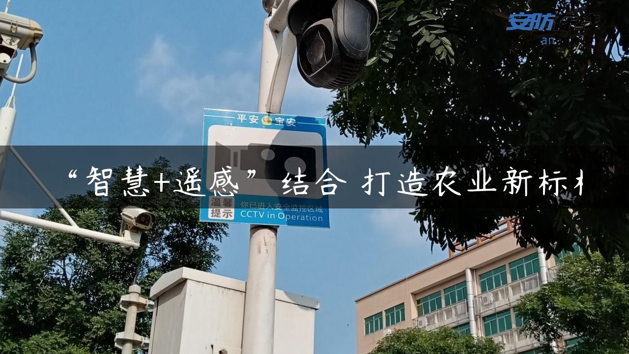 “智慧+遥感”结合 打造农业新标杆