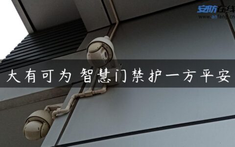 大有可为 智慧门禁护一方平安