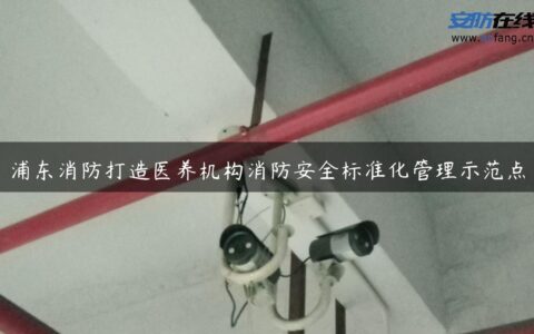 浦东消防打造医养机构消防安全标准化管理示范点