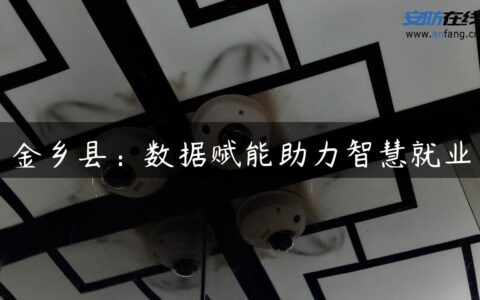 金乡县：数据赋能助力智慧就业
