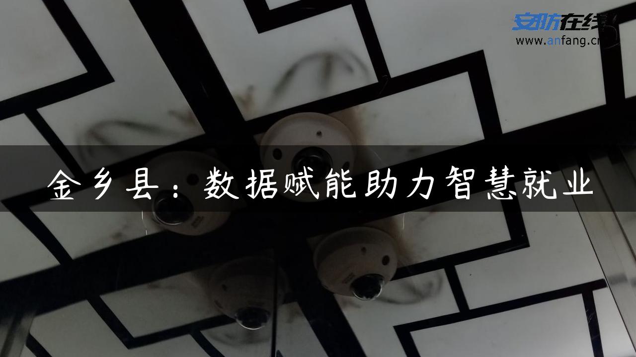 金乡县：数据赋能助力智慧就业
