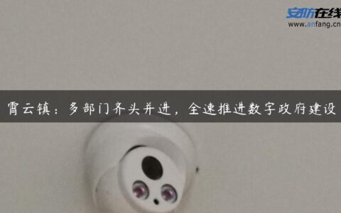 霄云镇：多部门齐头并进，全速推进数字政府建设