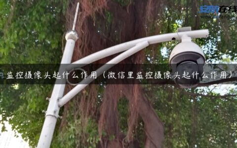监控摄像头起什么作用（微信里监控摄像头起什么作用）