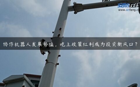 协作机器人发展势猛，吃上政策红利成为投资新风口？