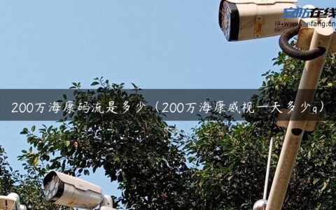 200万海康码流是多少（200万海康威视一天多少g）