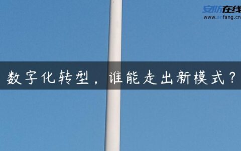 数字化转型，谁能走出新模式？