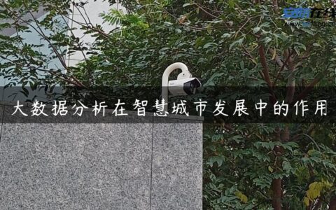 大数据分析在智慧城市发展中的作用