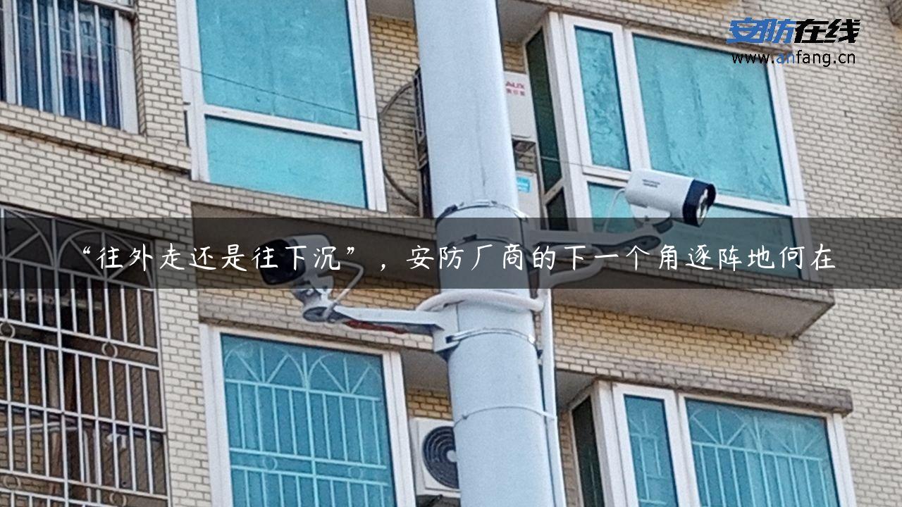 “往外走还是往下沉”，安防厂商的下一个角逐阵地何在？