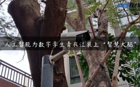 人工智能为数字孪生青衣江装上“智慧大脑”