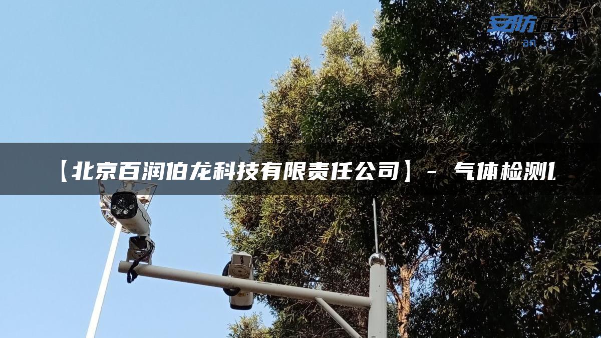 【北京百润伯龙科技有限责任公司】- 气体检测仪