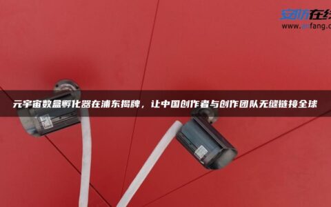 元宇宙数盒孵化器在浦东揭牌，让中国创作者与创作团队无缝链接全球