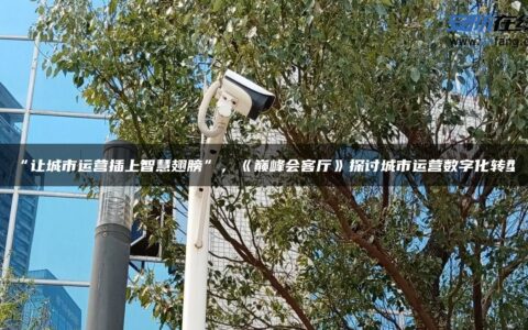 “让城市运营插上智慧翅膀”，《巅峰会客厅》探讨城市运营数字化转型