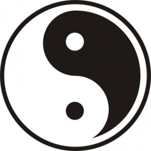 【深圳市禧龙电器有限公司】- DIY防盗报警器，网络摄像机，智能家居IPC，智能家居模块