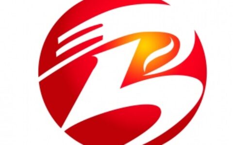 【深圳市宝莱纳专显科技有限公司】- 液晶监视器  安防监视器、工业显示器  、医疗显示器，液晶广...