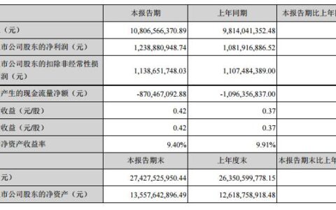 大华半年报营收108.07亿元 民生新方案受关注