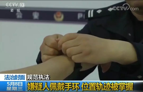 天地伟业再上央视 “四位一体”解决方案服务规范执法