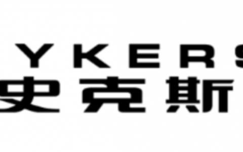【徐州史克斯光学仪器有限公司】- 史克斯内窥镜—精准微创手术整体解决方案 1.超高清内窥镜摄...