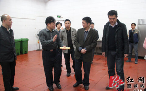 教育部督察组到长沙望城开展“打非治违”专项督查