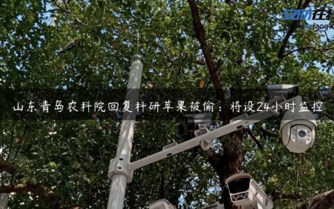 山东青岛农科院回复科研苹果被偷：将设24小时监控