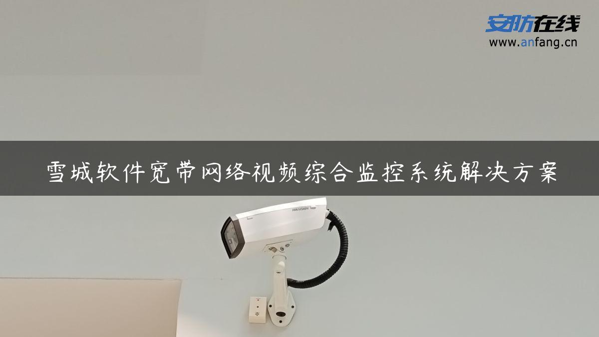 雪城软件宽带网络视频综合监控系统解决方案