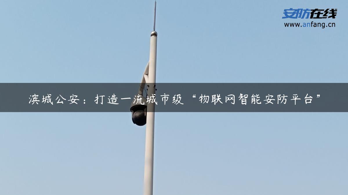 滨城公安：打造一流城市级“物联网智能安防平台”