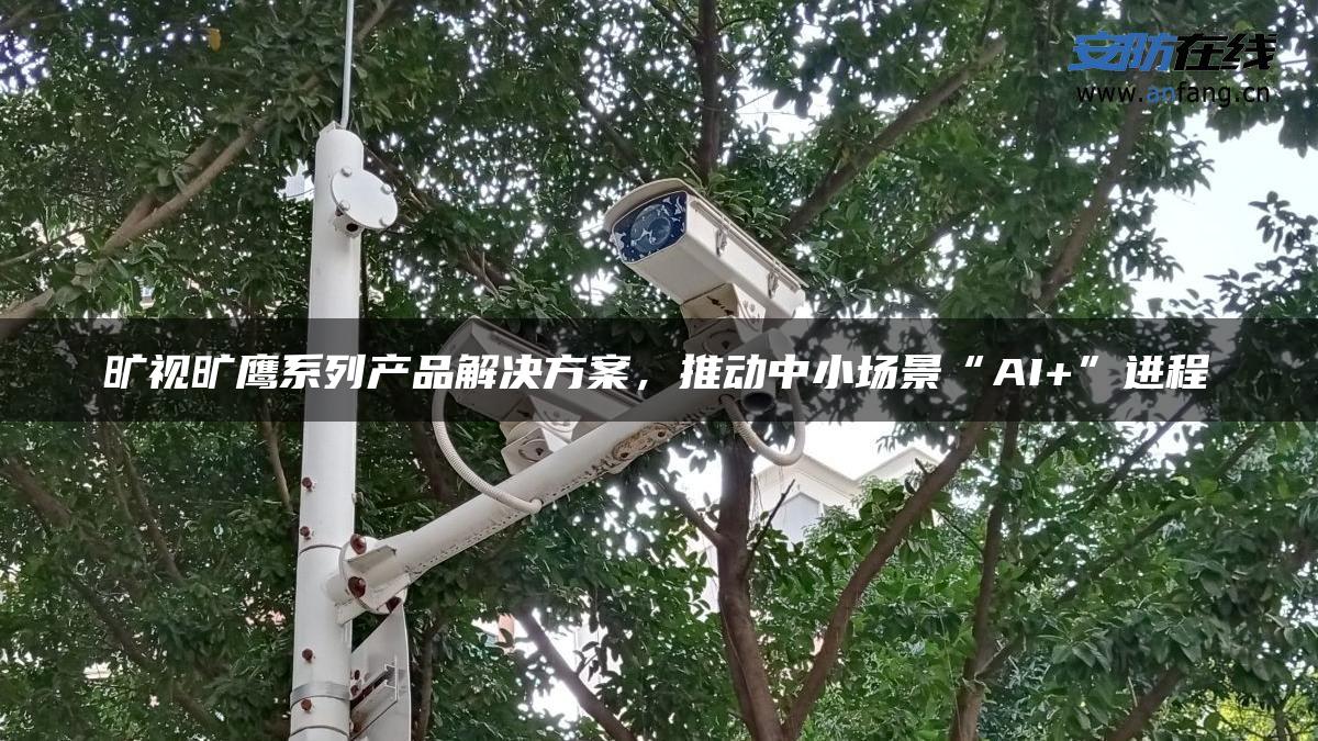 旷视旷鹰系列产品解决方案，推动中小场景“AI+”进程 - 安防在线