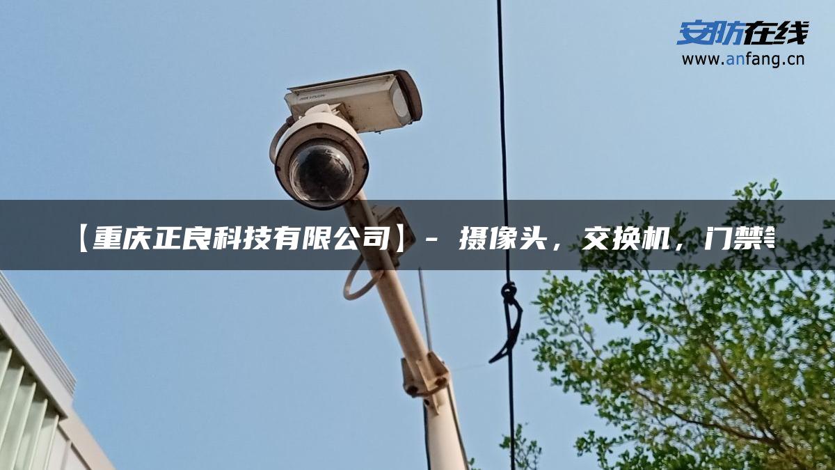 【重庆正良科技有限公司】- 摄像头，交换机，门禁等
