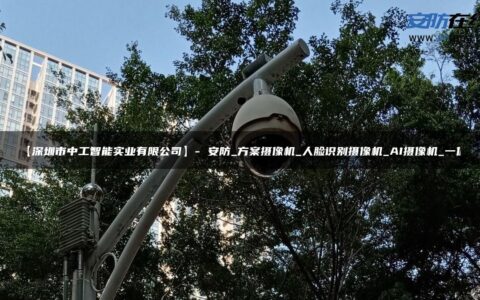 【深圳市中工智能实业有限公司】- 安防_方案摄像机_人脸识别摄像机_AI摄像机_一体
