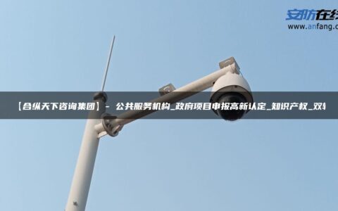 【合纵天下咨询集团】- 公共服务机构_政府项目申报高新认定_知识产权_双软