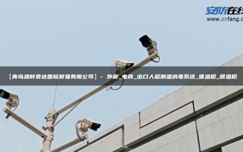 【青岛晟时泰达国际贸易有限公司】- 外贸_电商_出口人脸测温消毒系统_体温枪_额温枪_