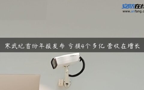 寒武纪首份年报发布 亏损4个多亿 营收在增长