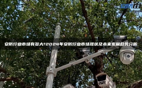 安防行业市场有多大?2024年安防行业市场现状及未来发展趋势分析