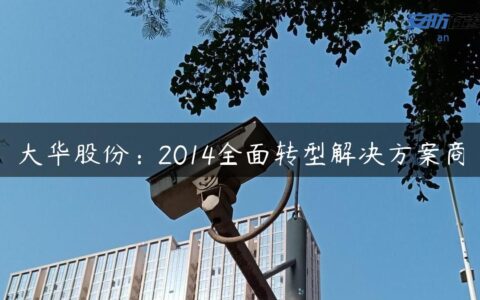 大华股份：2014全面转型解决方案商