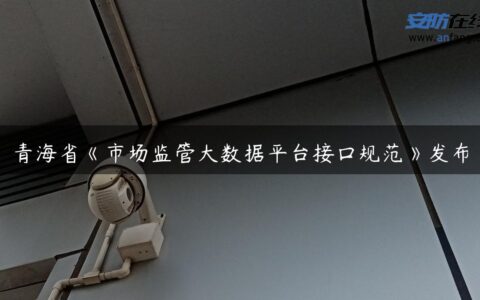 青海省《市场监管大数据平台接口规范》发布