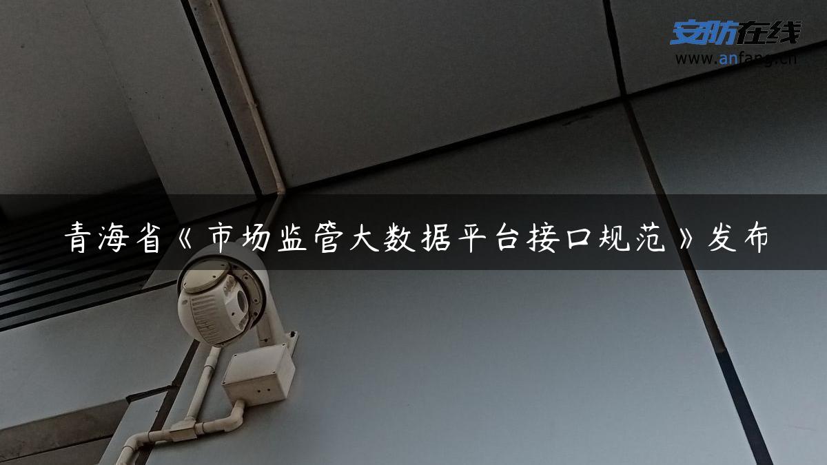 青海省《市场监管大数据平台接口规范》发布
