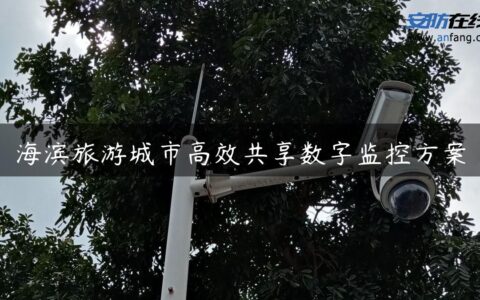 海滨旅游城市高效共享数字监控方案