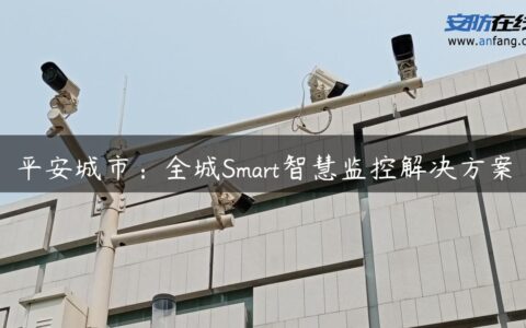 平安城市：全城Smart智慧监控解决方案