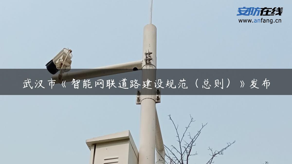 武汉市《智能网联道路建设规范（总则）》发布