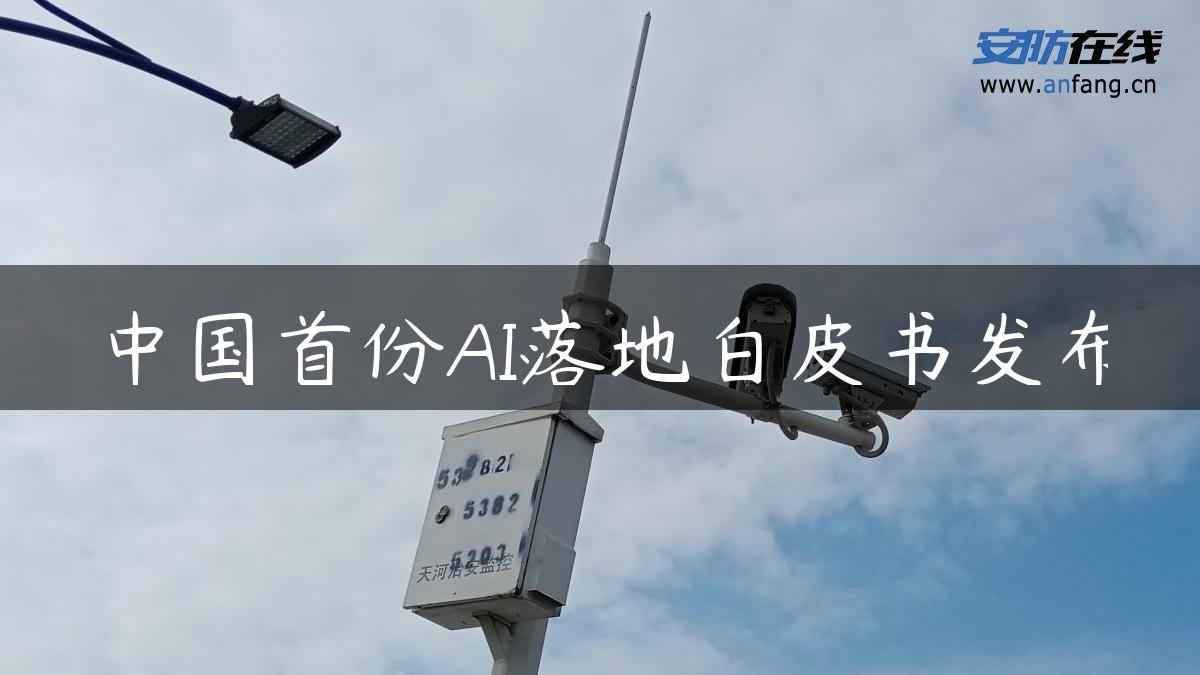 中国首份AI落地白皮书发布