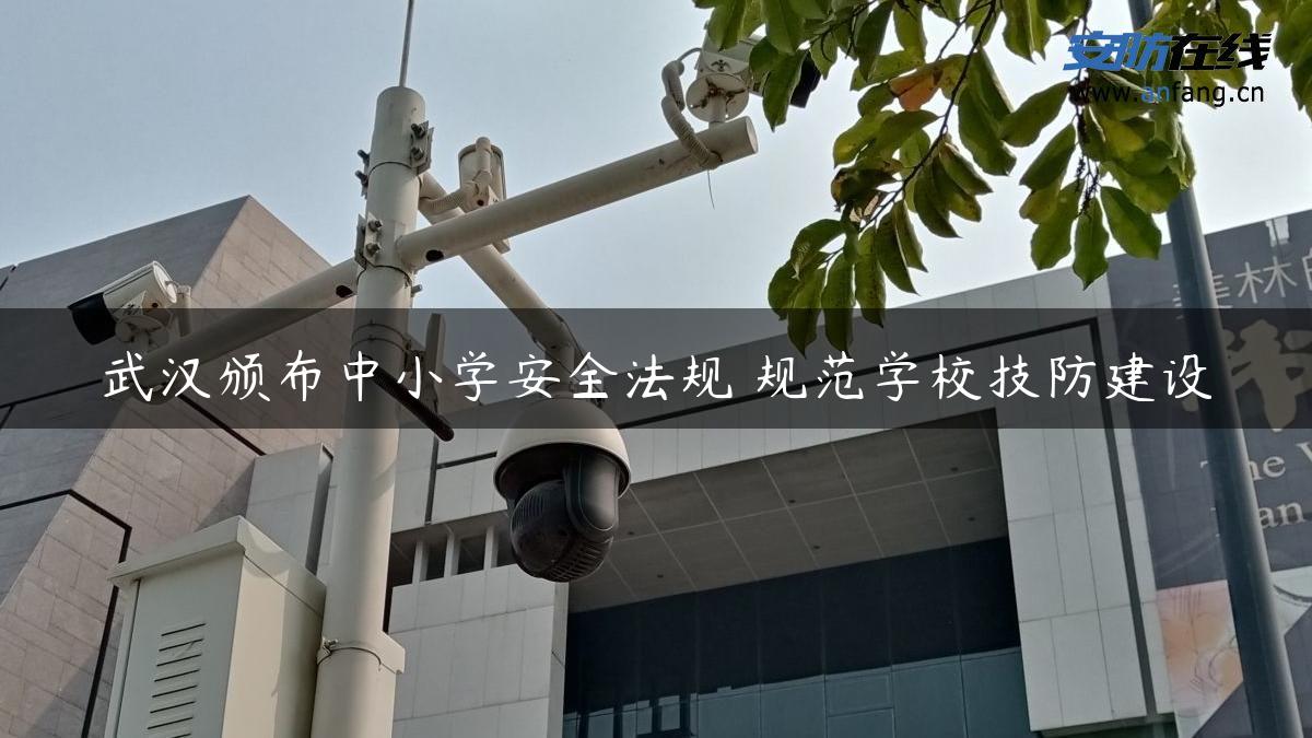武汉颁布中小学安全法规 规范学校技防建设