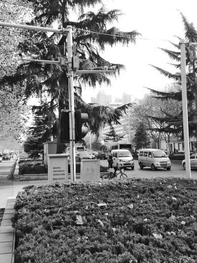 监控缺失 郑州市民遇车祸求助未果